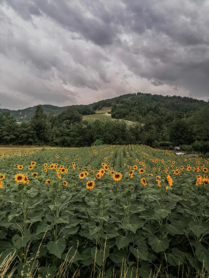 Villa Nickland San Sebastiano Curone Exterior foto